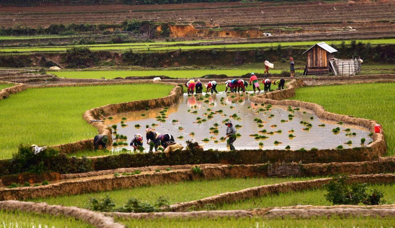 Mu Cang Chai Eco Lodge Nam San Exterior photo
