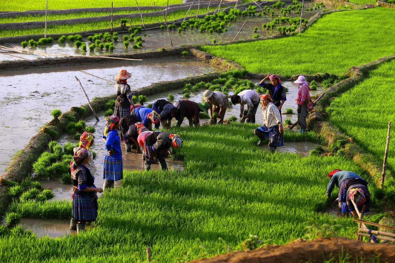 Mu Cang Chai Eco Lodge Nam San Exterior photo